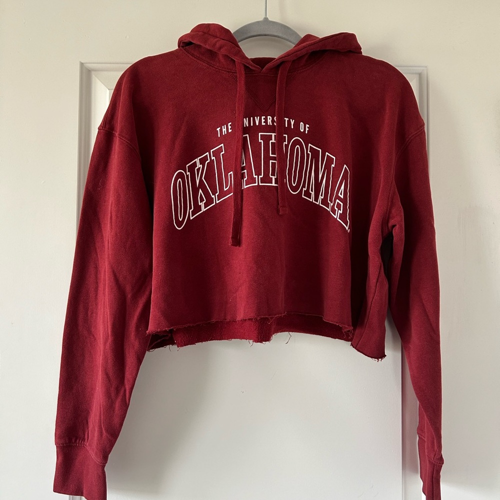American Eagle Tailgate Cropped Hoodie